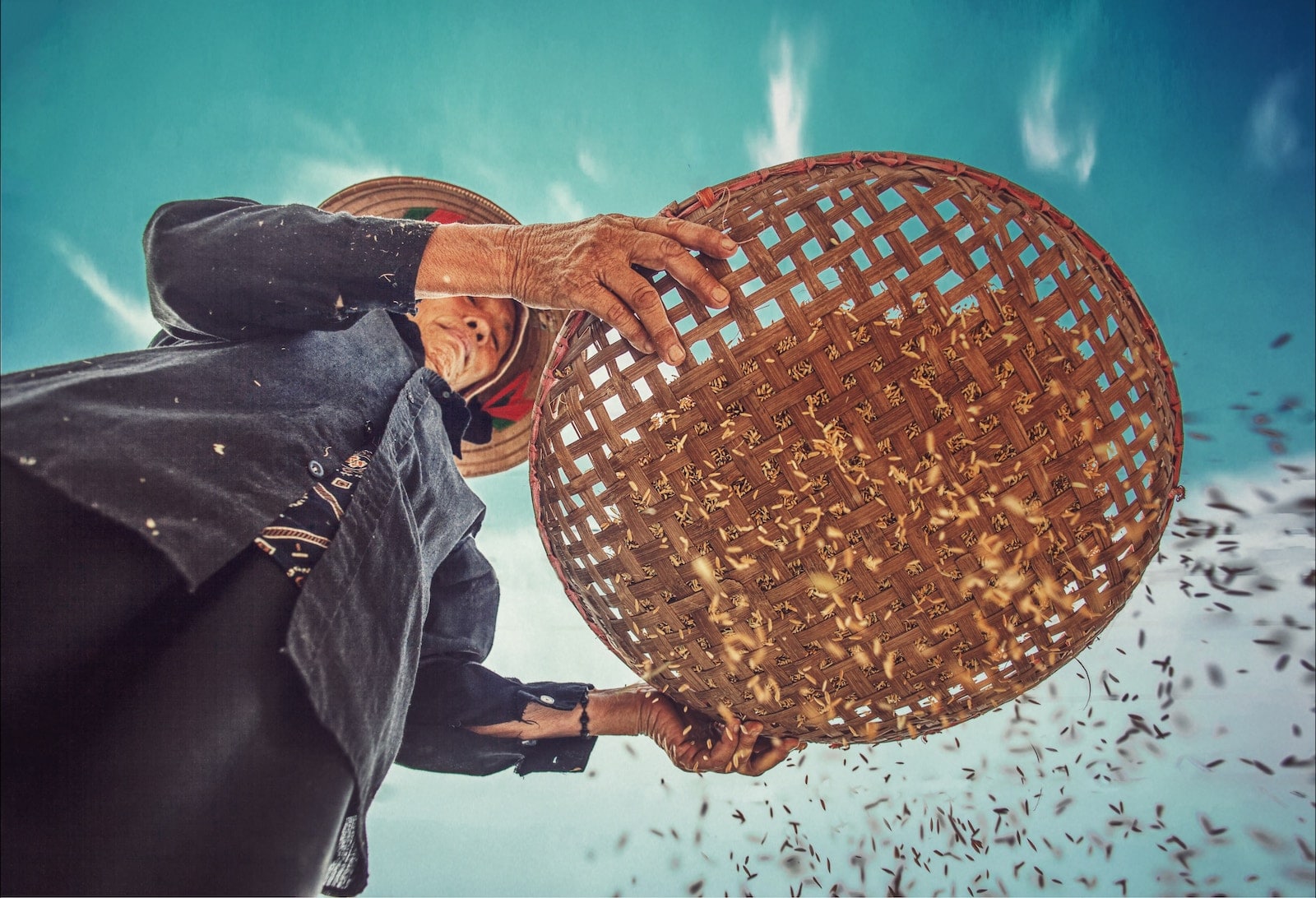 tuan anh tran tHfJ3mevHi0 unsplash