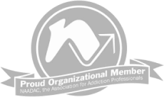 naadac organizational member logo