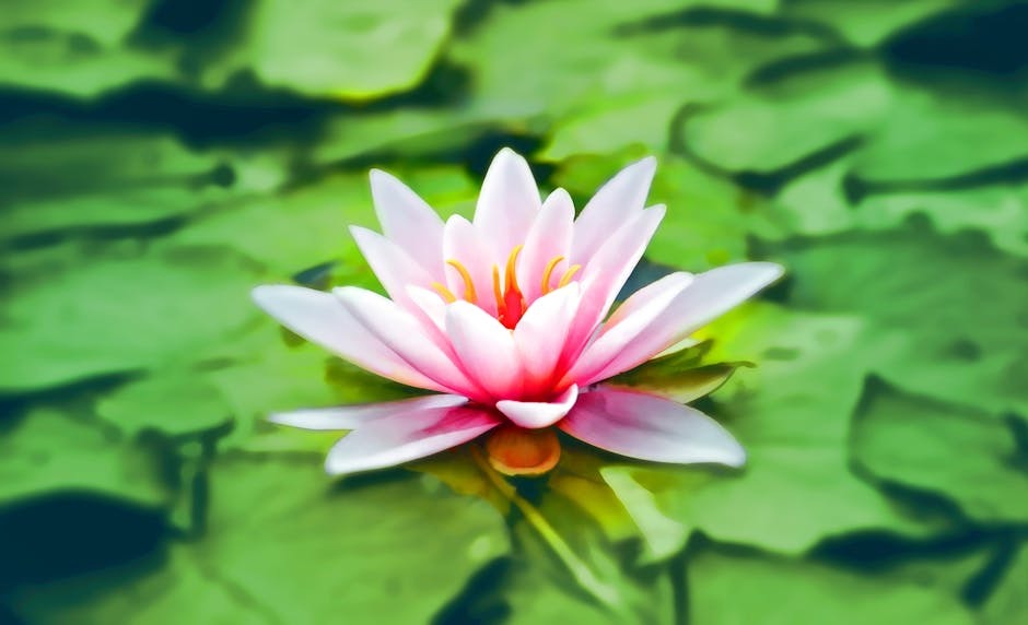 Drug Detox: The First Step Toward Lasting Sobriety and What to Expect